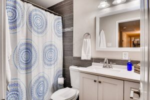 hall bathroom